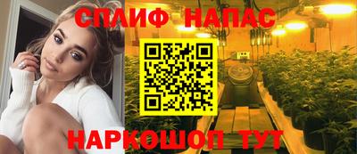 молекула духа Нальчик