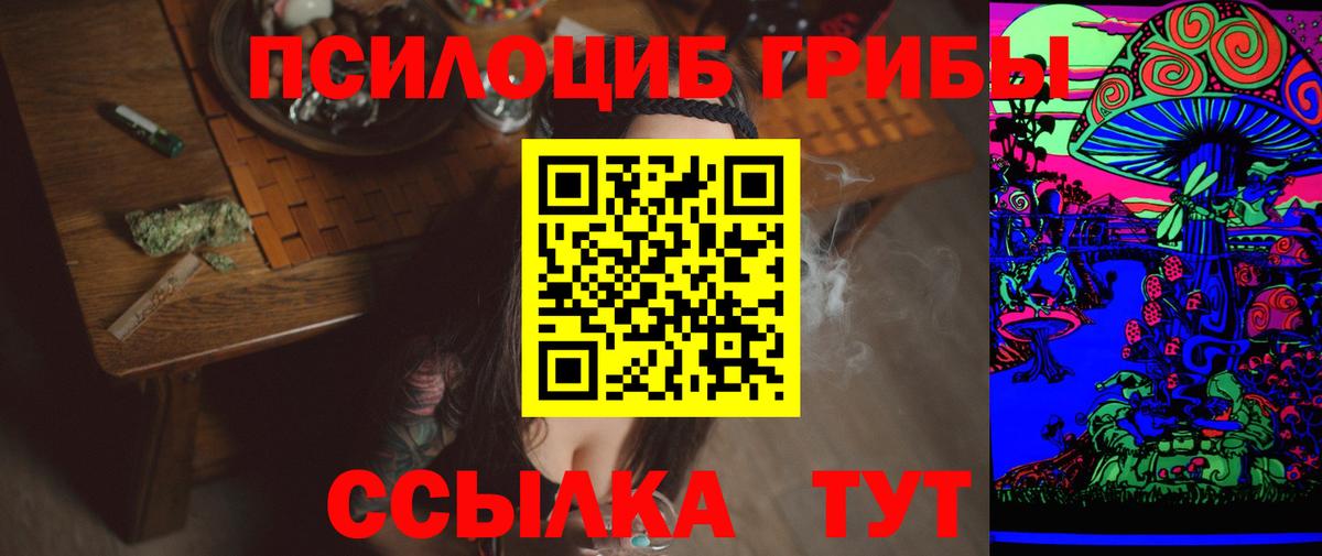 Псилоцибиновые грибы GOLDEN TEACHER  Вход с VPN  Славгород 